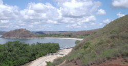 DUNDUN, MERTAK LOMBOK TENGAH