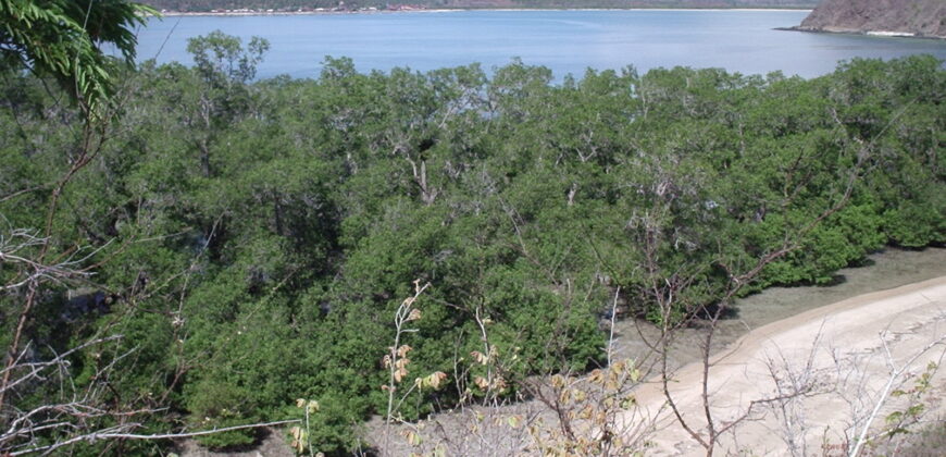 DUNDUN, MERTAK LOMBOK TENGAH