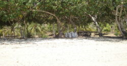 SIUNG BATU PUTIH 2 SEKOTONG