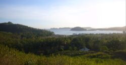 TAKAR AKAR MERTAK LOMBOK TENGAH