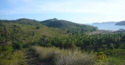 TAKAR AKAR MERTAK LOMBOK TENGAH