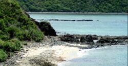DUNDUN, MERTAK LOMBOK TENGAH