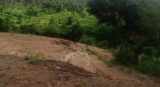 MERTAK BANGKANG PRABU