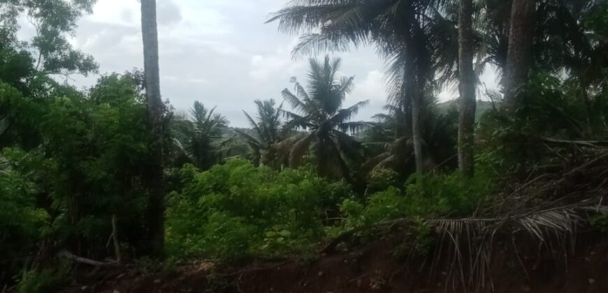 MERTAK BANGKANG PRABU