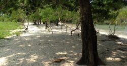 GILI GEDE SEKOTONG