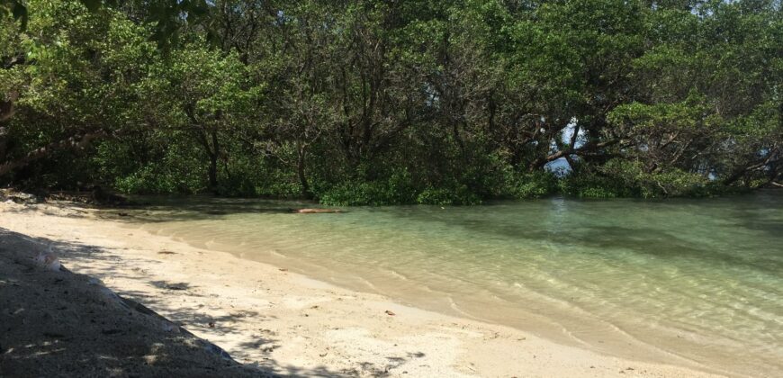 GILI GEDE SEKOTONG