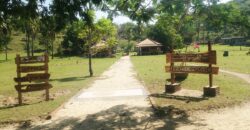 GILI GEDE SEKOTONG