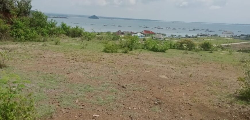 AWANG