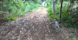 BUKIT KETAK (PRABU/ BANGKANG) KUTA LOMBOK TENGAH