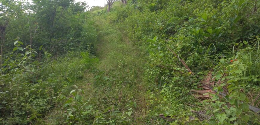 BUKIT KETAK (PRABU/ BANGKANG) KUTA LOMBOK TENGAH