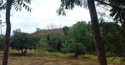 BUKIT KETAK (PRABU/ BANGKANG) KUTA LOMBOK TENGAH