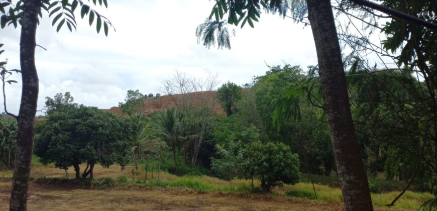 BUKIT KETAK (PRABU/ BANGKANG) KUTA LOMBOK TENGAH