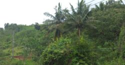 BUKIT KETAK (PRABU/ BANGKANG) KUTA LOMBOK TENGAH