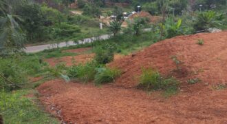 BUKIT KETAK (PRABU/ BANGKANG) KUTA LOMBOK TENGAH
