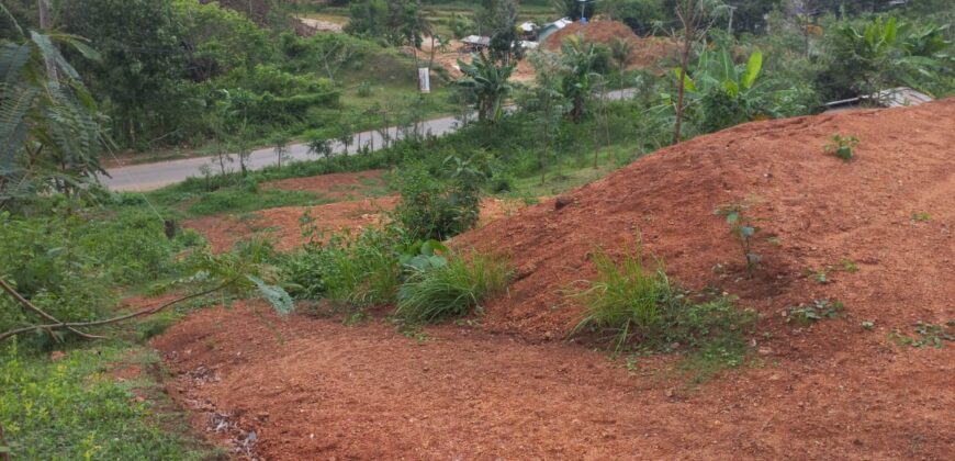BUKIT KETAK (PRABU/ BANGKANG) KUTA LOMBOK TENGAH