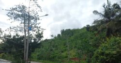 BUKIT KETAK (PRABU/ BANGKANG) KUTA LOMBOK TENGAH