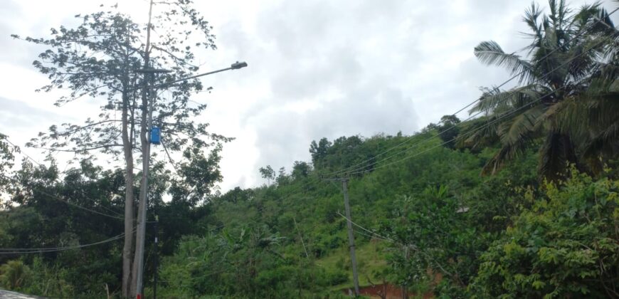 BUKIT KETAK (PRABU/ BANGKANG) KUTA LOMBOK TENGAH
