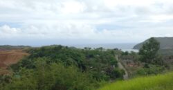 EMATE CENTRAL KUTA LOMBOK
