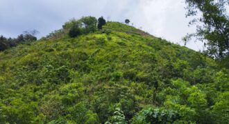 EMATE CENTRAL KUTA LOMBOK