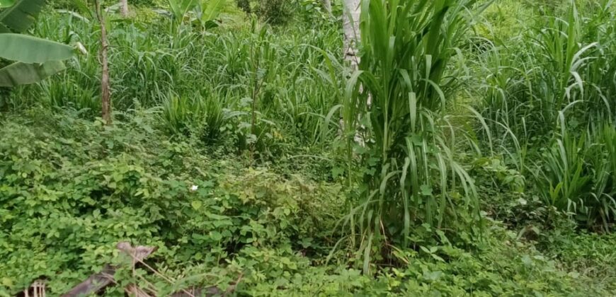 NGOLANG 1 KUTA LOMBOK TENGAH