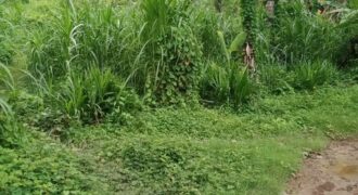 NGOLANG 1 KUTA LOMBOK TENGAH