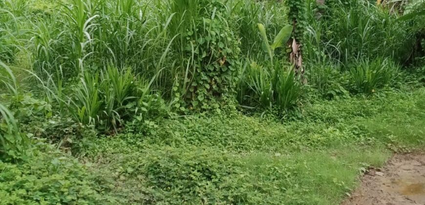 NGOLANG 1 KUTA LOMBOK TENGAH