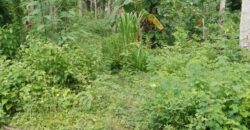 NGOLANG 1 KUTA LOMBOK TENGAH
