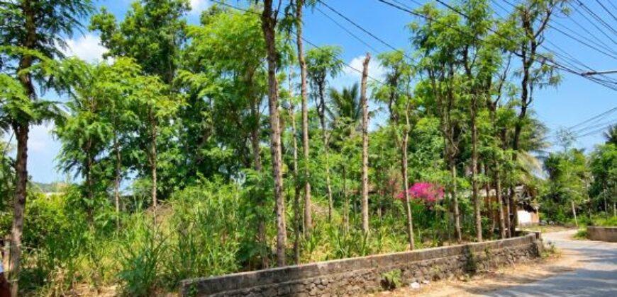 LAND FOR SALE – CENTRAL KUTA
