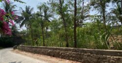 LAND FOR SALE – CENTRAL KUTA