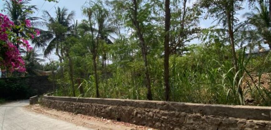 LAND FOR SALE – CENTRAL KUTA