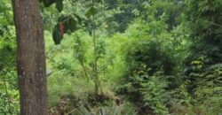 LAND FOR SALE – MERENDENG, KUTA LOMBOK