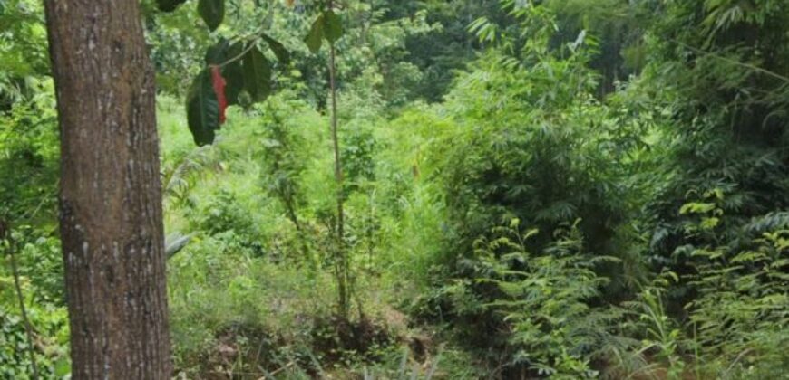 LAND FOR SALE – MERENDENG, KUTA LOMBOK