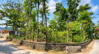 LAND FOR SALE – CENTRAL KUTA