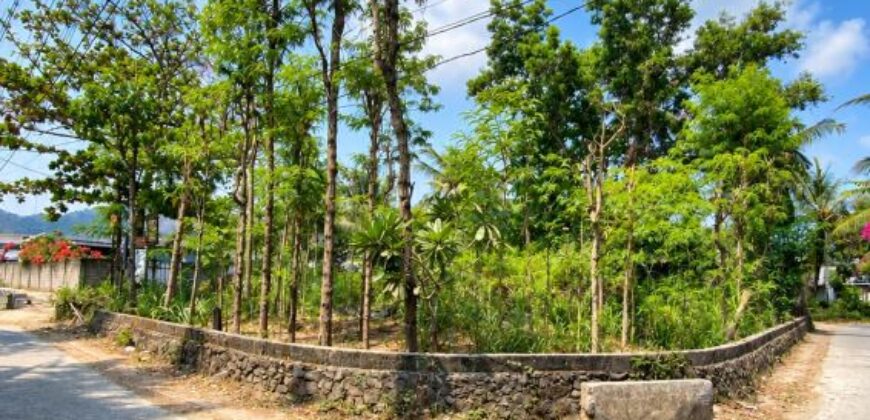LAND FOR SALE – CENTRAL KUTA