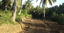 LAND PLOTS FOR SALE OR LEASE