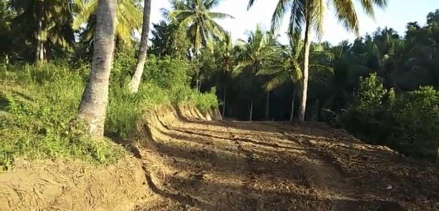LAND PLOTS FOR SALE OR LEASE