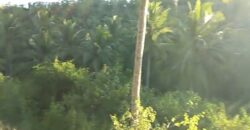 LAND PLOTS FOR SALE OR LEASE
