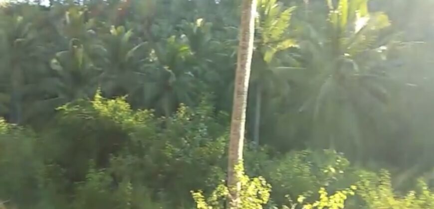 LAND PLOTS FOR SALE OR LEASE