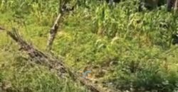 LAND PLOTS FOR SALE OR LEASE