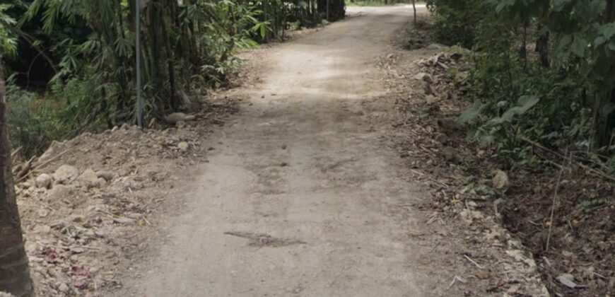 LAND FOR SALE – MERENDENG, KUTA LOMBOK