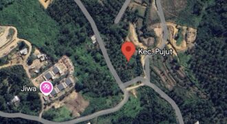 LAND PLOTS FOR SALE OR LEASE